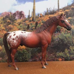 Meet your Posher, Deanne